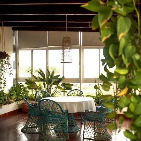Finca El Molino Fuerteventura Bed & Breakfast *